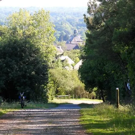 Bernugat Gildas Des Bois Vila